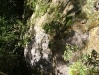 guaconejoago06 - 44